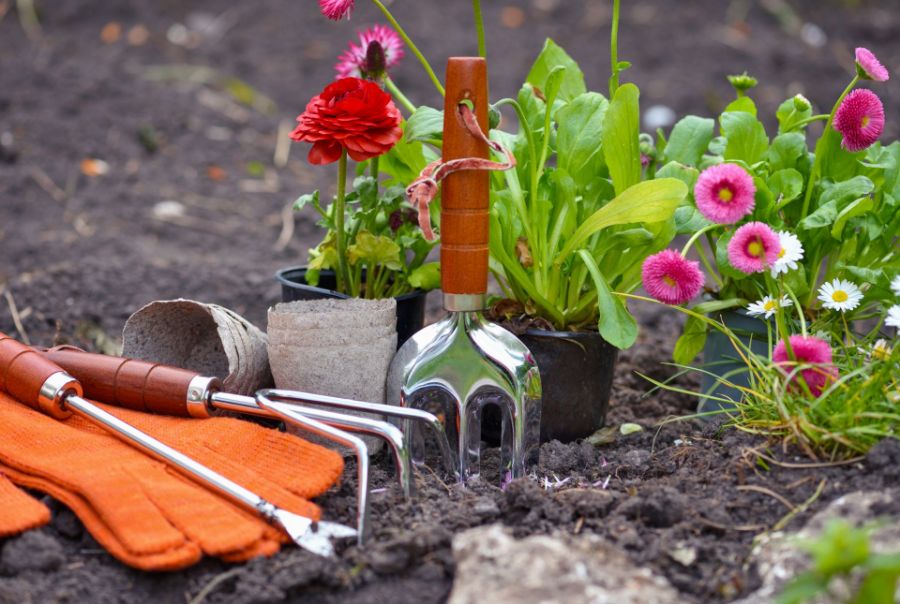 Tavaszi kertészkedés tippek